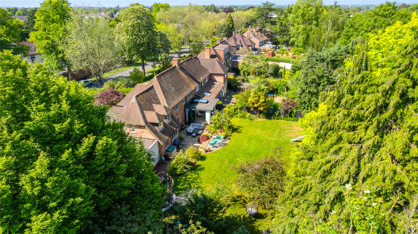 Garden Drone Side